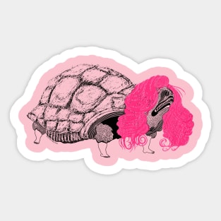 Tortoise and his Hair Sticker